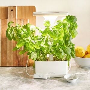 NWT Short Stories Indoor LED Planter